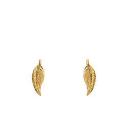 Boucles d'Oreilles Plume en Or Jaune 375 - Maison Ballet by Scarlett
