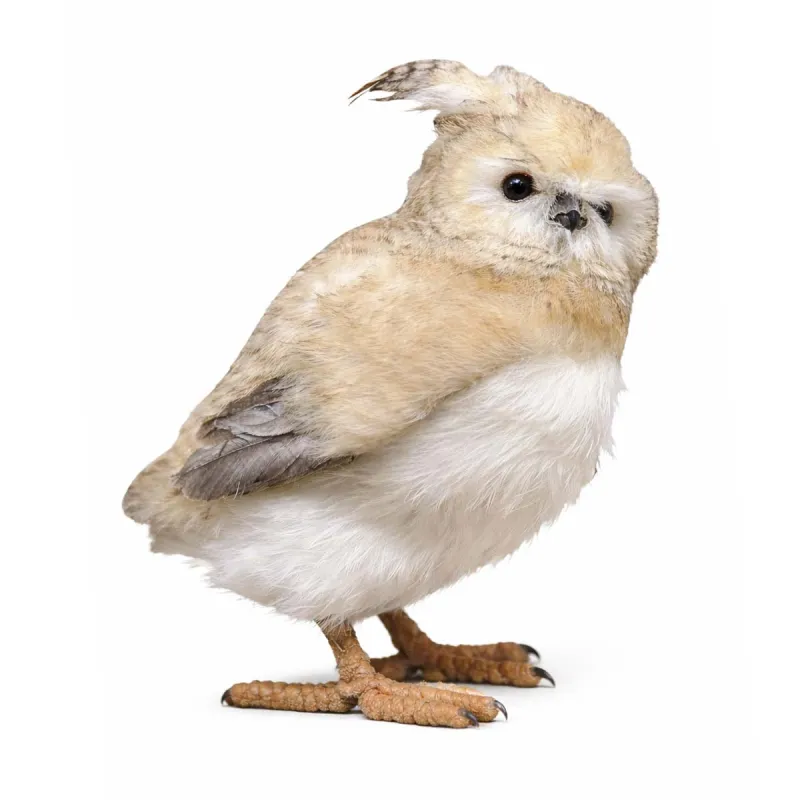 Hibou debout 34cm brun clair 19x16x29cm déco - Ducatillon