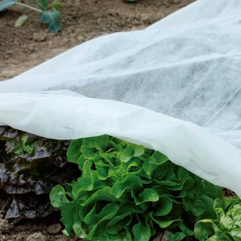 Voile polypropylène 1,5 x 5 m - Ducatillon