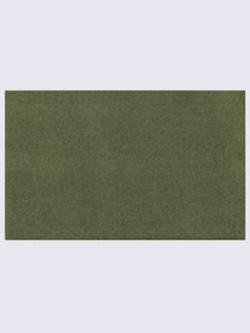 Paillasson polyamide très résistant, coleur vert - HELLINE