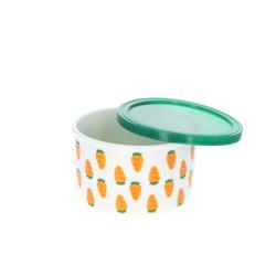 Boîte de conservation avec couvercle carottes
