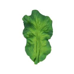 Anneau de dentition Kendall feuille de chou kale