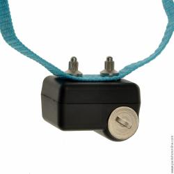 Collier anti-aboiements Canicalm First, MADE IN CHASSE - Equipements de chasse