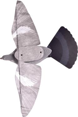 Appelant Pigeon Step-Flap, MADE IN CHASSE - Equipements de chasse