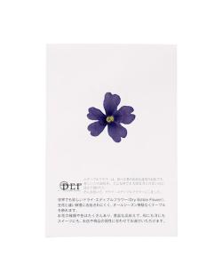 Fleurs comestibles séchées de verveine bleue