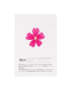 Fleurs comestibles séchées de verveine rose