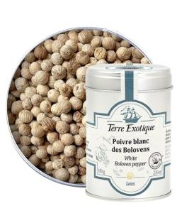 Poivre blanc des Bolovens