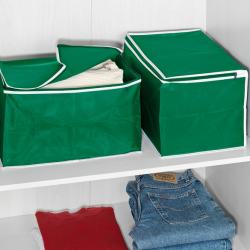 Lot de 2 boîtes de rangement, vert