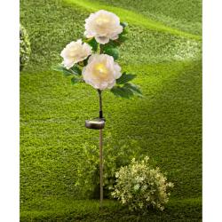 Pivoines solaires pour le jardin, blanc, 3 pièces