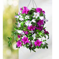Bouquet à suspendre Pétunias