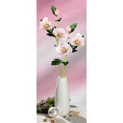 Branche de roses de Noël