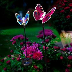 Papillon solaire, rose
