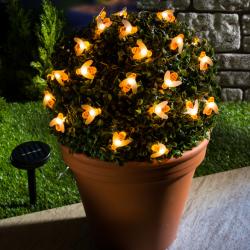 Guirlande lumineuse solair, 30 abeilles