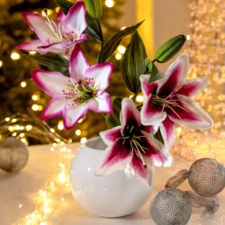 Branche de lys, fuchsia/blanc