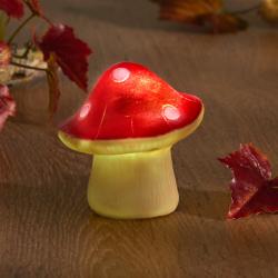 Champignon solaire, rouge