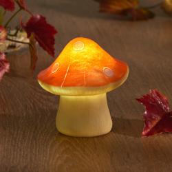 Champignon solaire, jaune
