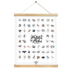 Affiche Les Petites Bêtes de la Mer Les Petites Dates