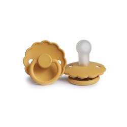 Sucette Daisy - Honey Gold